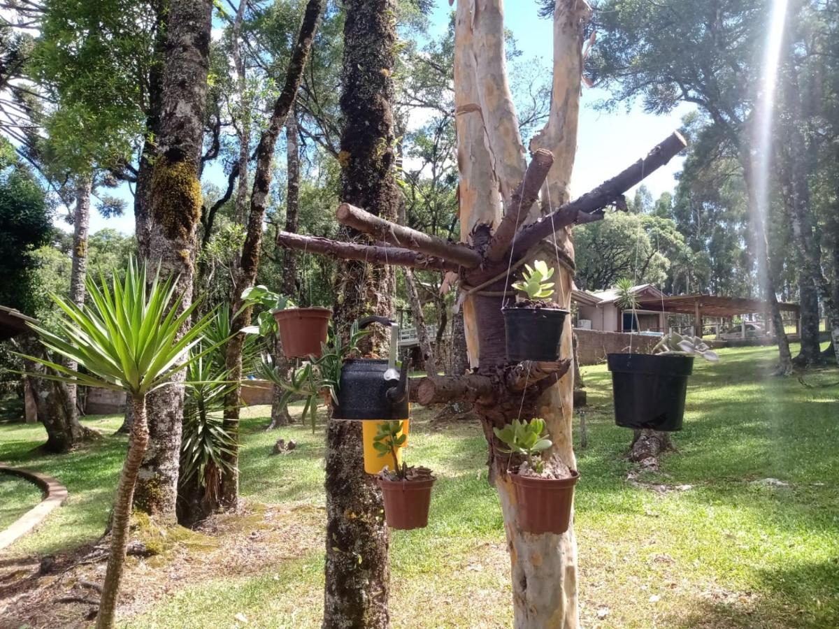 Quartos Recanto Da Natureza Interior 卡内拉 外观 照片