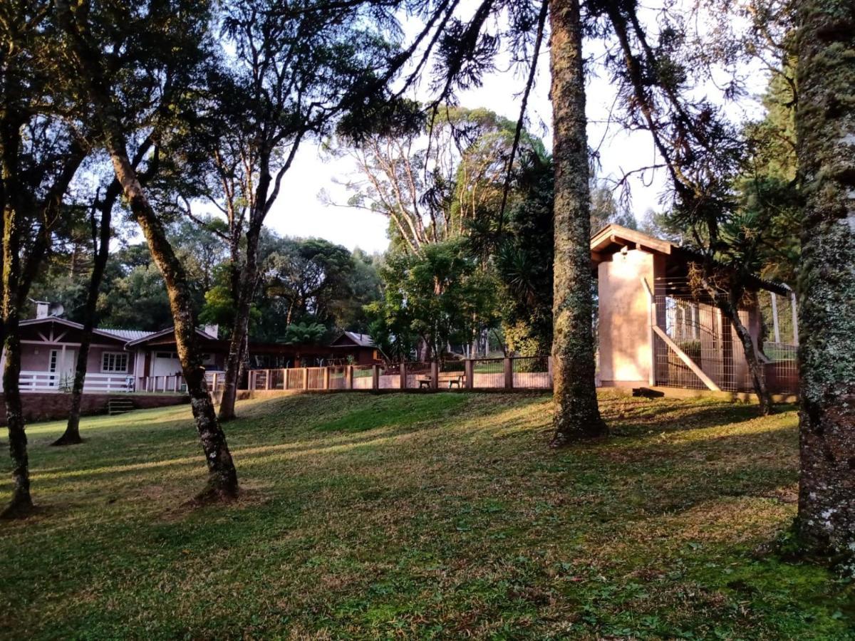 Quartos Recanto Da Natureza Interior 卡内拉 外观 照片